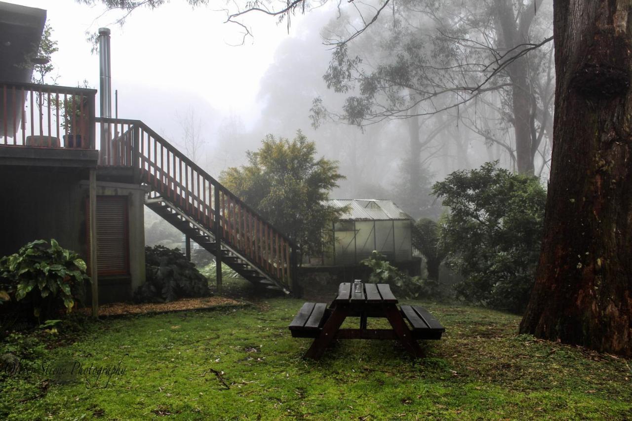 Tomah Retreat - Studio Chill With Fireplace And Clawfoot Bath Bed & Breakfast Mount Tomah Dış mekan fotoğraf